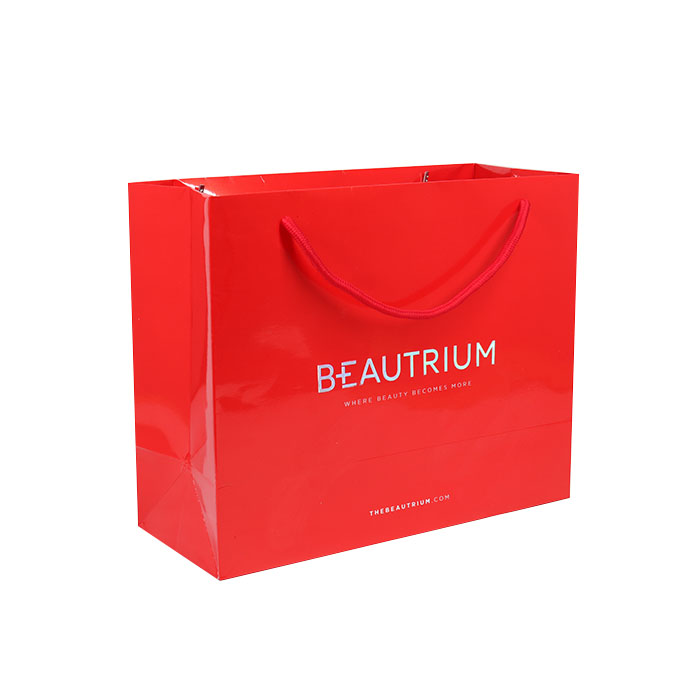 Custom luxury gift garment paper shopping bags with logo print